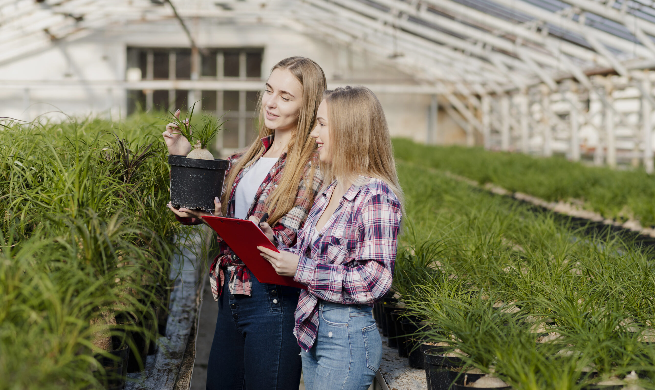 Ви зараз переглядаєте Lab2Market AgroTech: програма для комерціалізації аграрних розробок